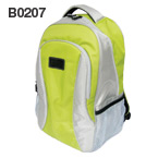 B0207