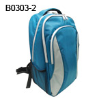 B0303-2