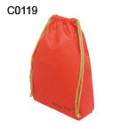 C0119