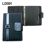 L0091